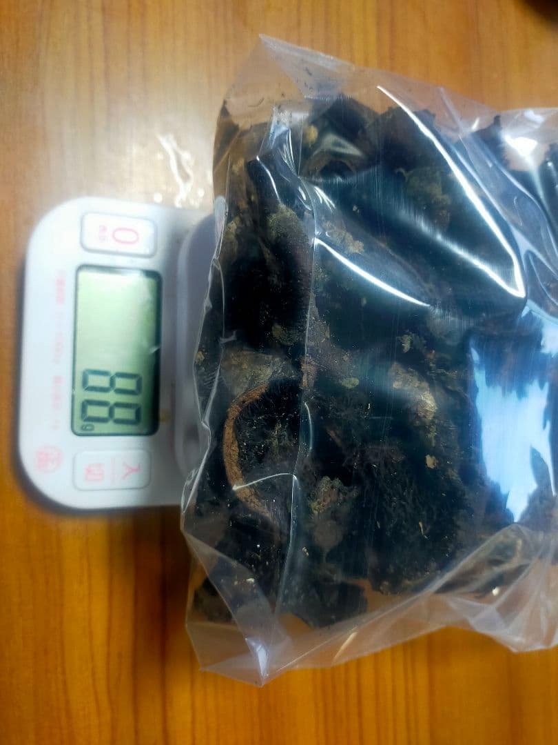 信州産　10月採取　乾燥　香茸　88g　コウタケ