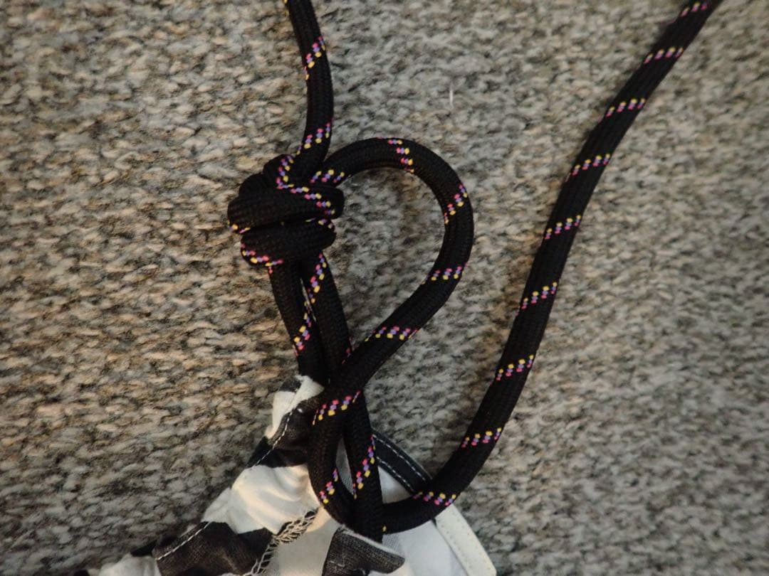 ドリスヴァンノッテン_ワンピース