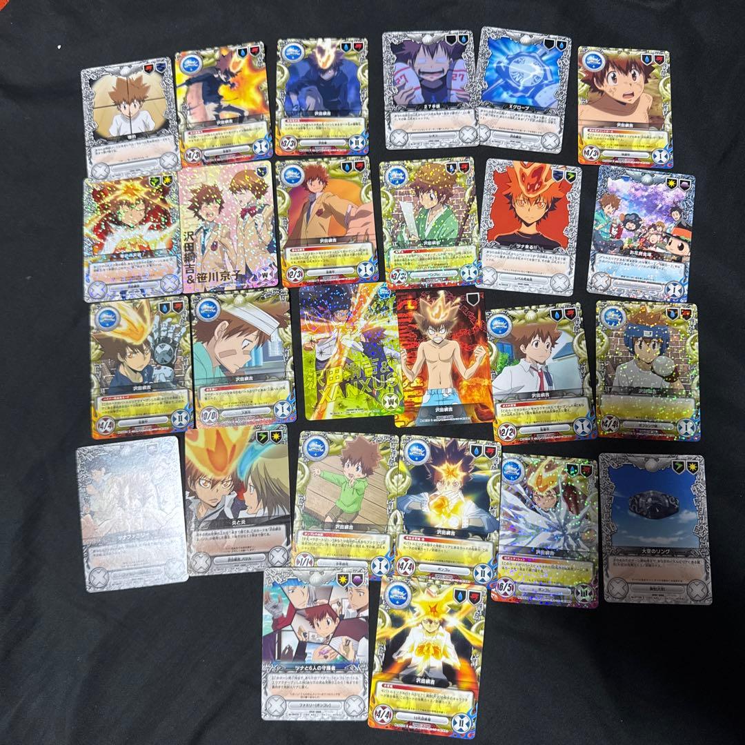 沢田綱吉　26枚　リボーン　CCG