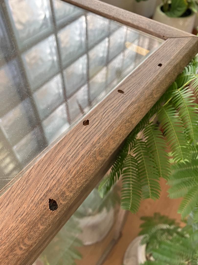 【タロスケ】icca イッカ ガラス ショーケース キャビネット