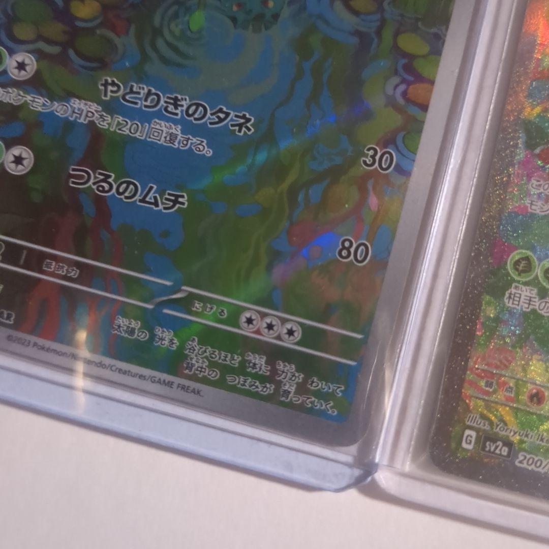 フシギソウ マスターボールミラー AR フシギバナex SAR 3枚