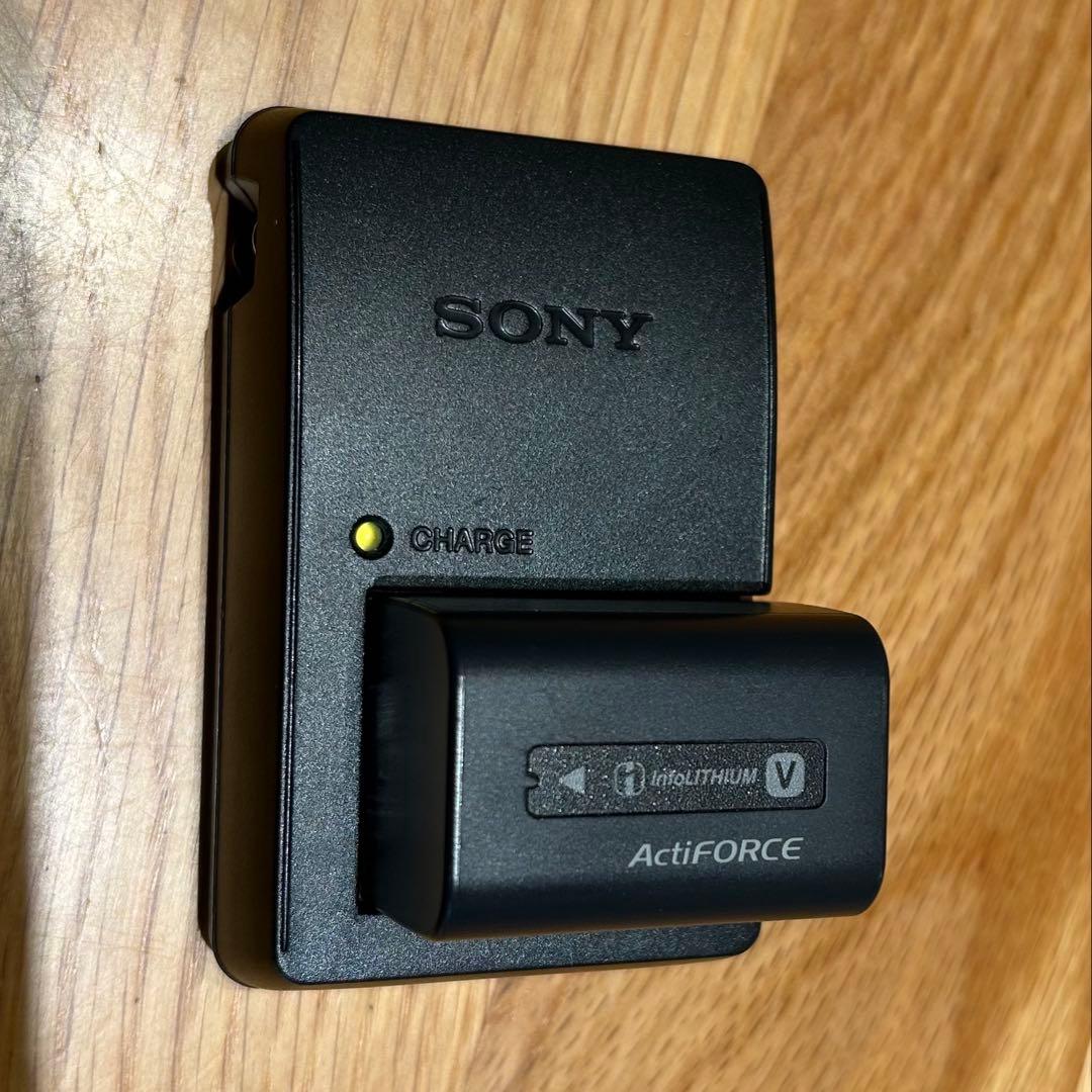 SONY E-mount ハンディカム NEX-VG10 ビデオカメラ