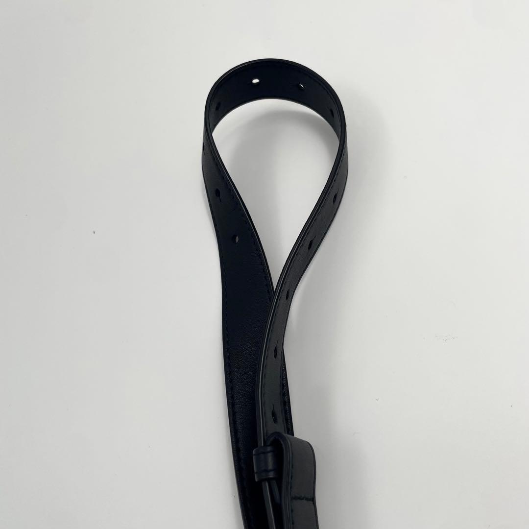 【✨極美品 現行】 ボッテガヴェネタ ボディバッグ カセット マキシ ICタグ付