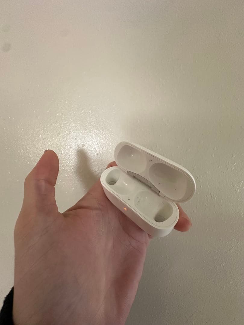 AirPods pro ケースだけ。