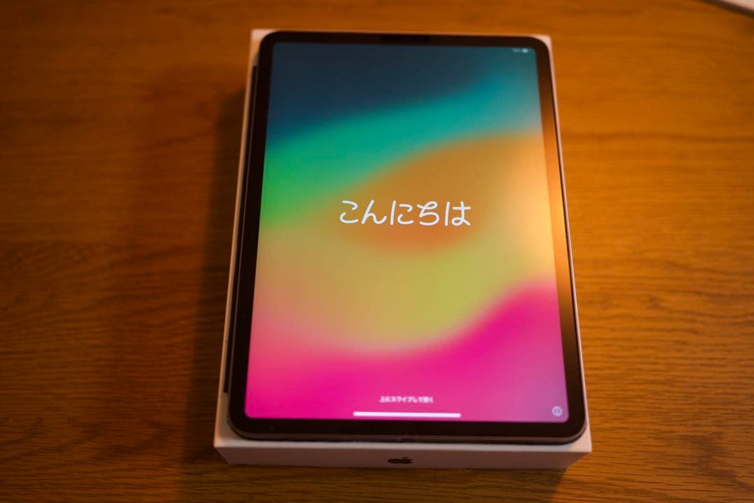 iPad Pro 11” 第一世代　MTXT2J/A 512GB