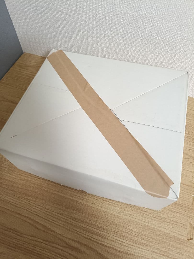 ESTHETWIN 2000FB 美顔器