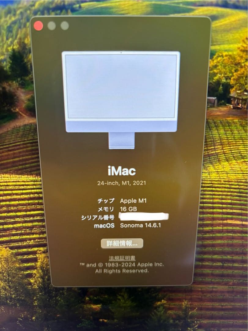 美品 iMac 24インチ 2021年M1チップ16GB 1TB パープル