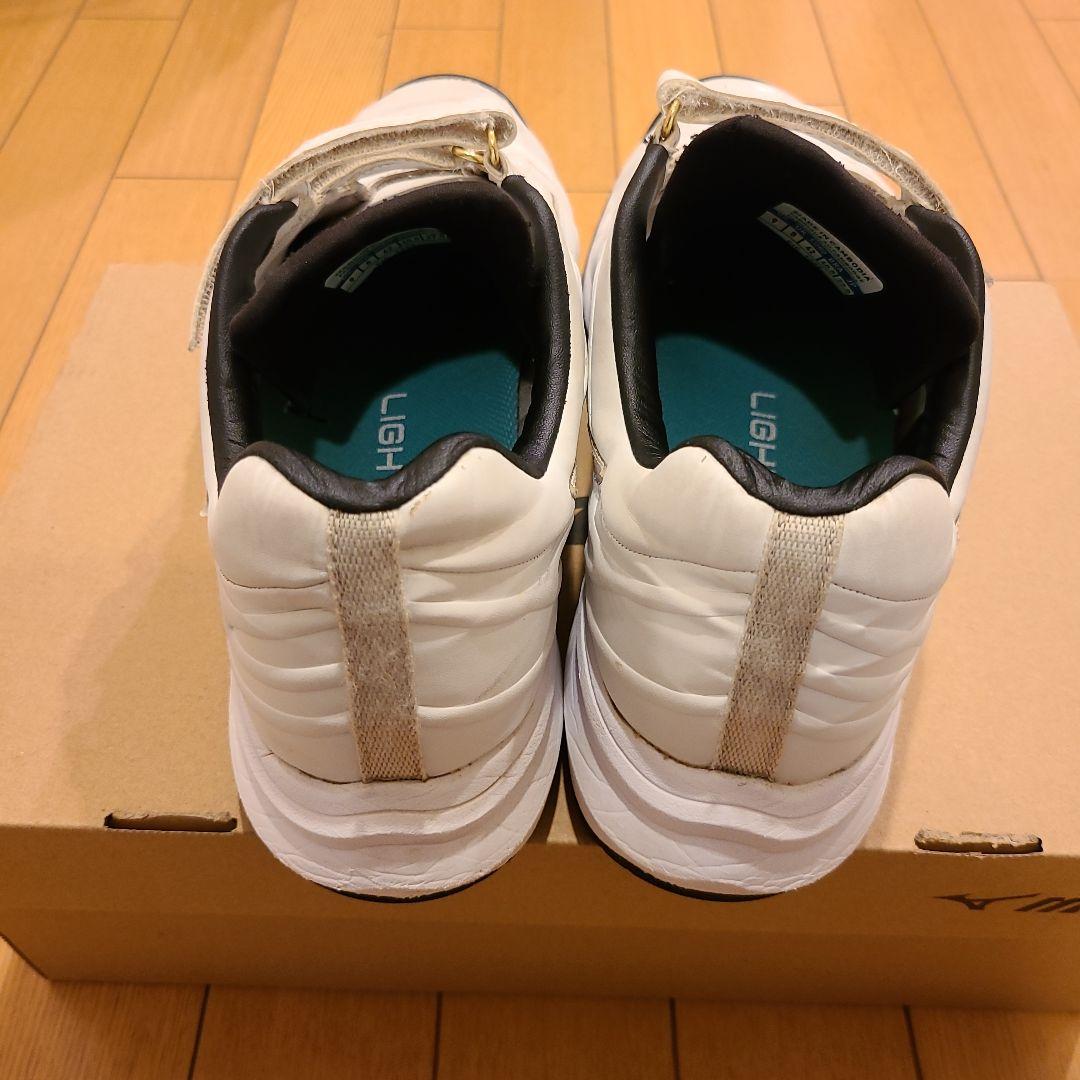 ミズノプロ トレーニングシューズ 27.0㎝