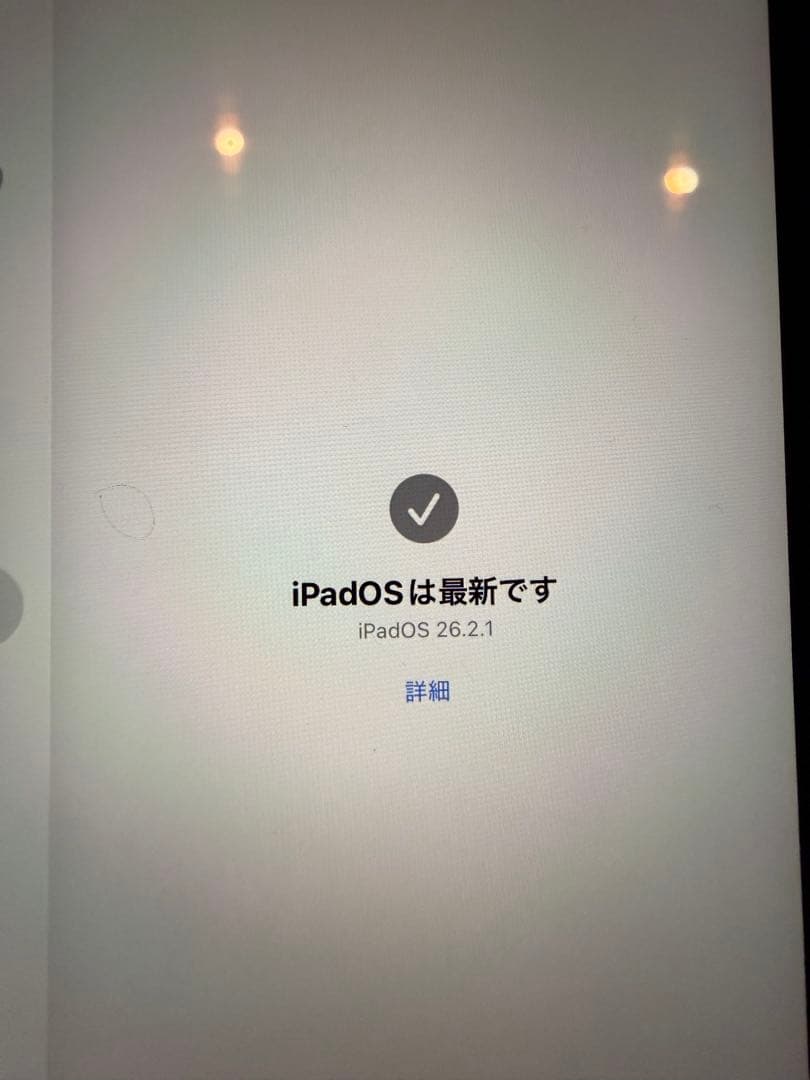 で*と様 Apple iPad mini 6 Wi-Fiモデル 256GB パー