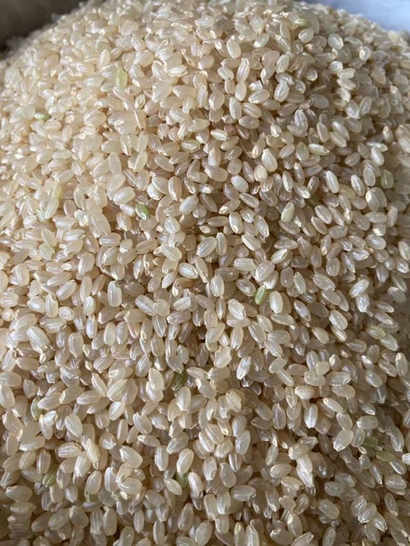 農家直送 岩手県令和7年産ひとめぼれ 玄米30キロ