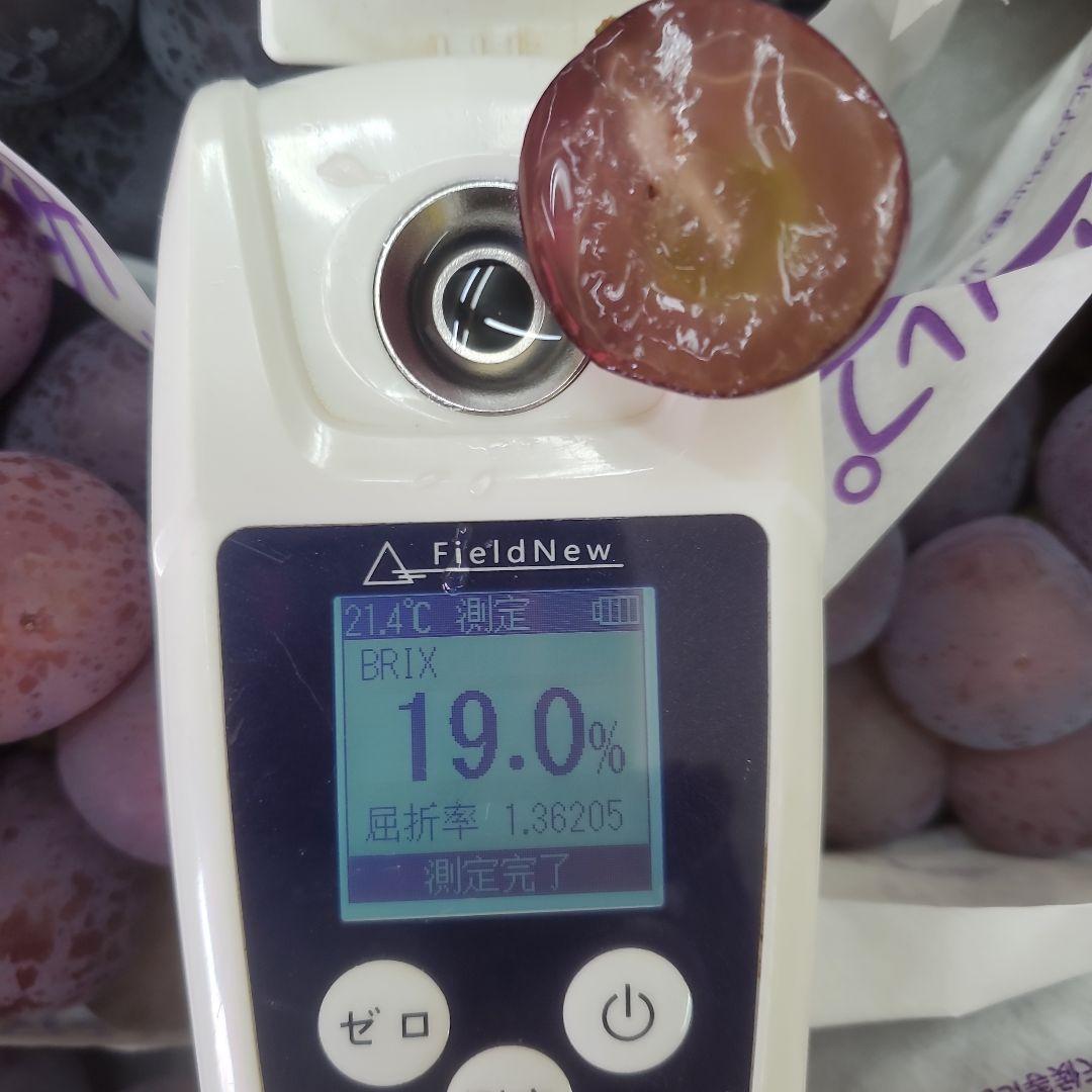 8️⃣ 山梨県産 種無しピオーネ９房 箱込み5.5キロ