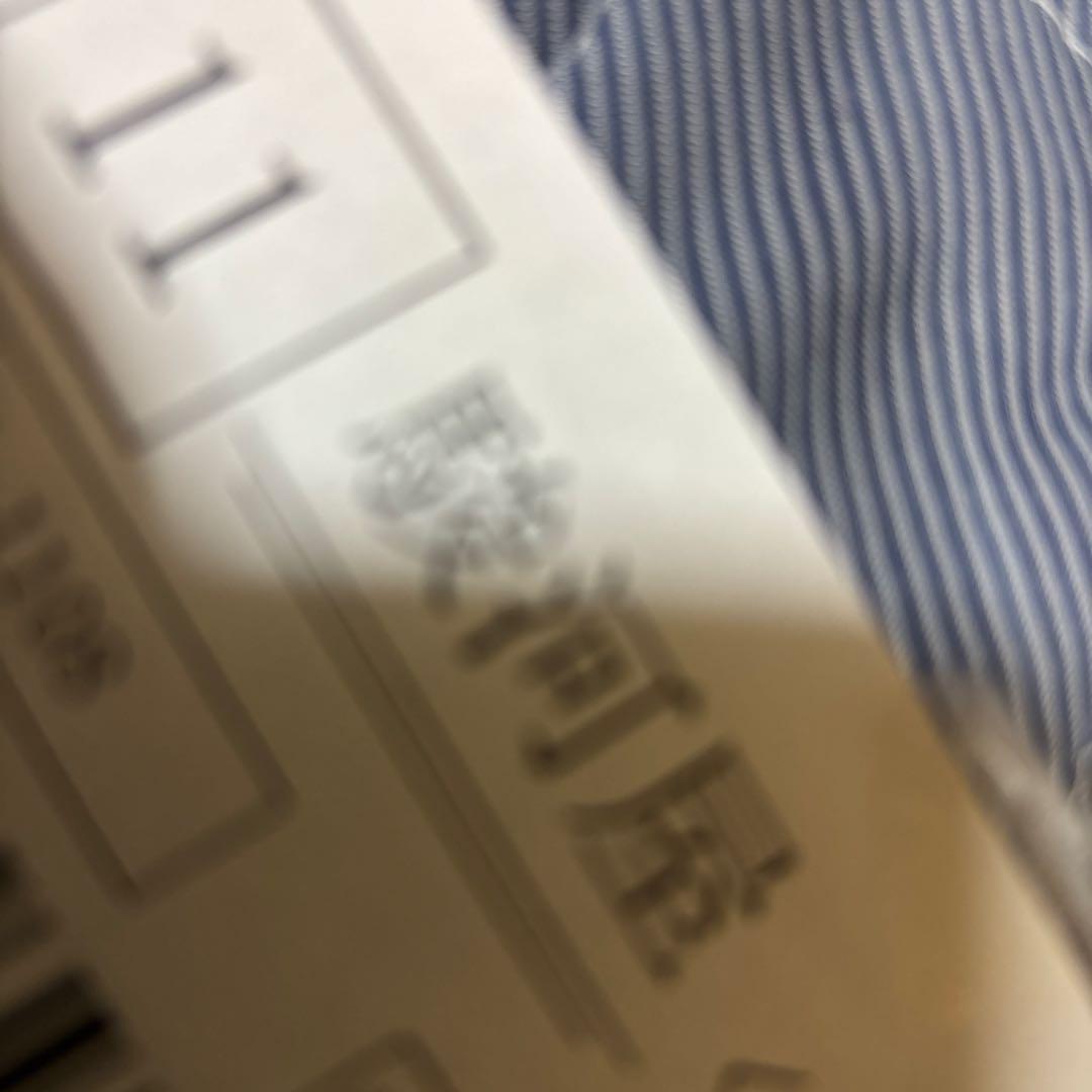 iPad mini 第6世代 Wi-Fi＋セルラーモデル 256 ios18.6