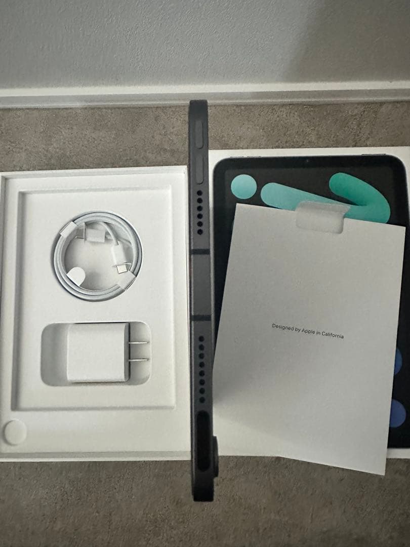 iPad本体 iPad mini 6 Cellular 64GB Space Gray