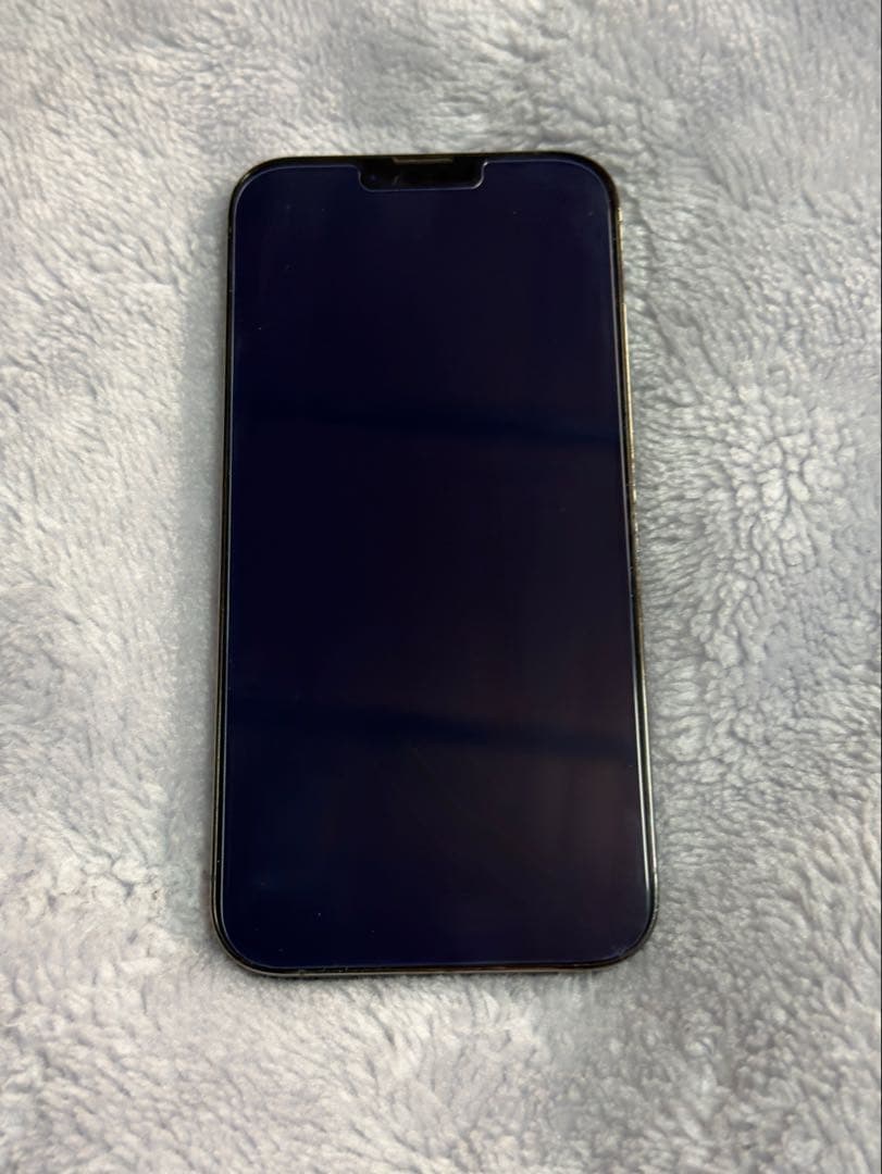 Apple iPhone 13 Pro Max 1TB グラファイト 本体