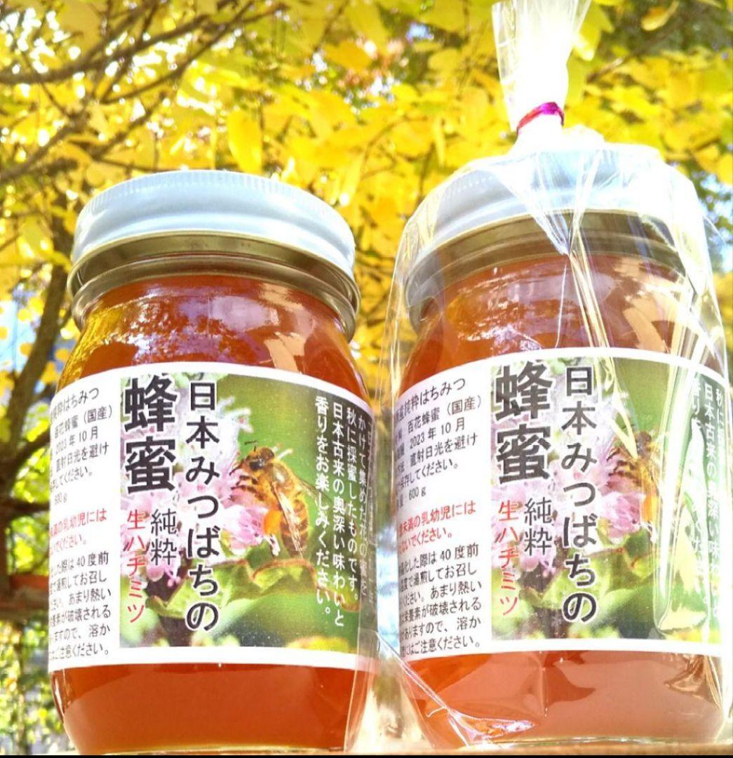 日本みつばち採りたて(生巣蜜、蜂蜜)183g＋600g×2本#8　　　　宮城県産