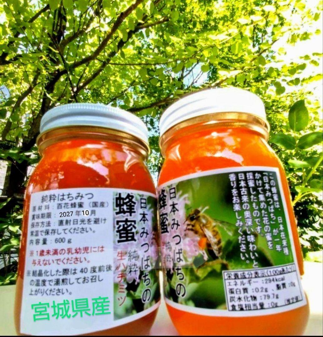日本みつばち採りたて(生巣蜜、蜂蜜)183g＋600g×2本#8　　　　宮城県産