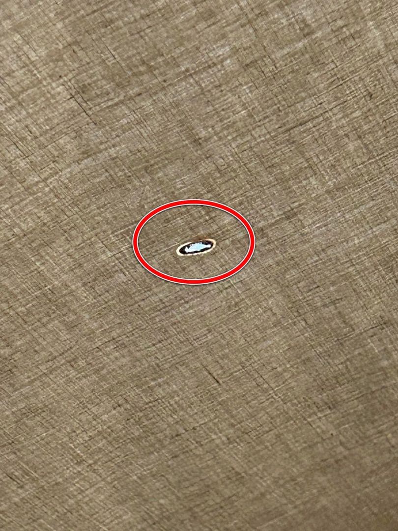 エ*ン様 ゼインアーツ ギギ1tc zanearts GIGI1TC ⭐︎テント