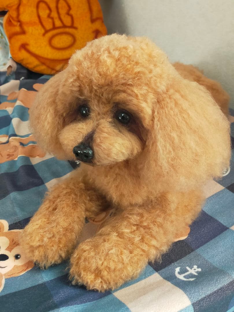 カズオーダー♡実物大