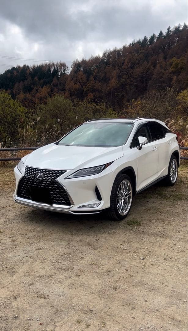 クレンツェ　ウィーバル　22インチ デザインクローム