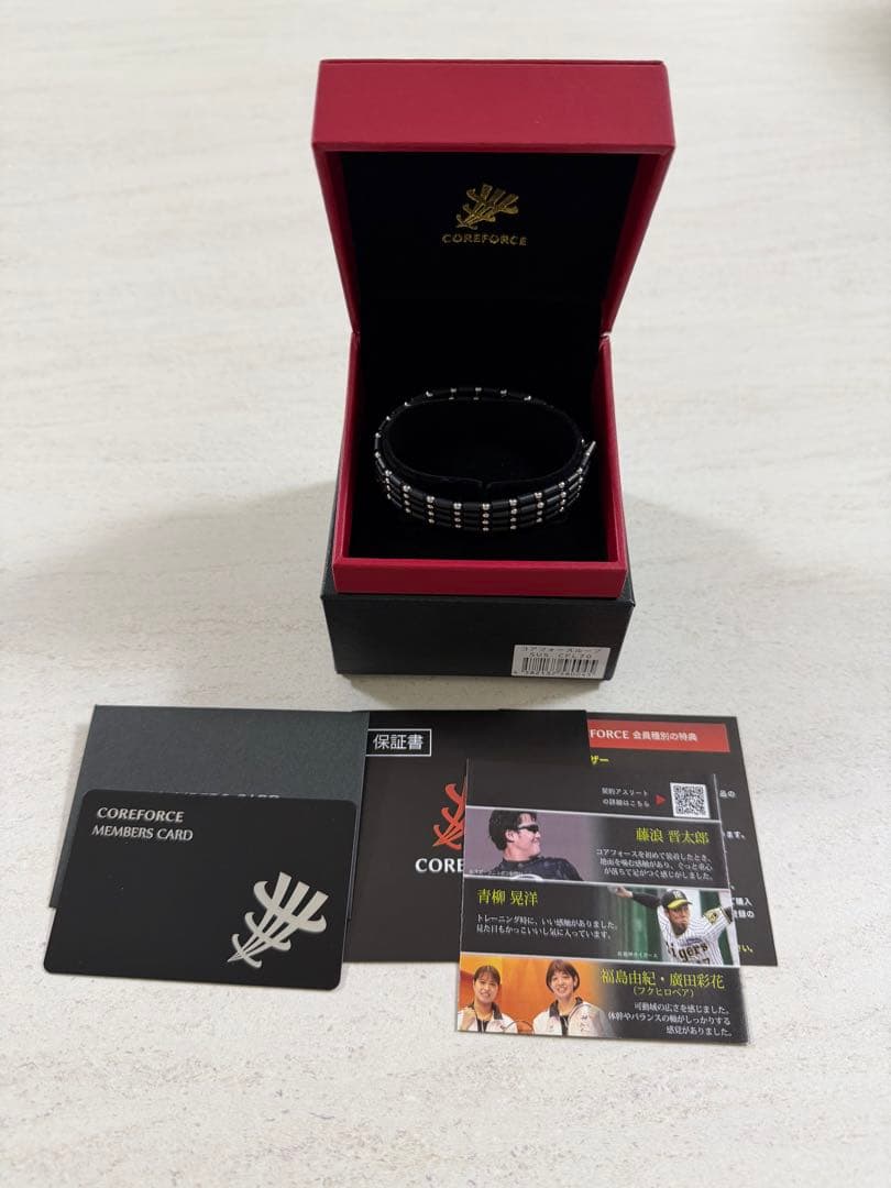 【美品】COREFORCE コアホース 黒 70cm