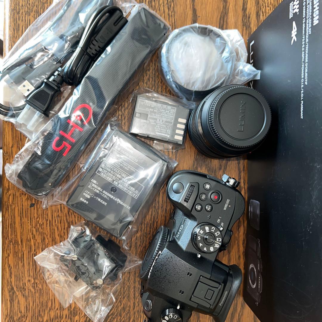 LUMIXG DH-GH5M ミラーレスカメラ 12-60mmレンズ付き