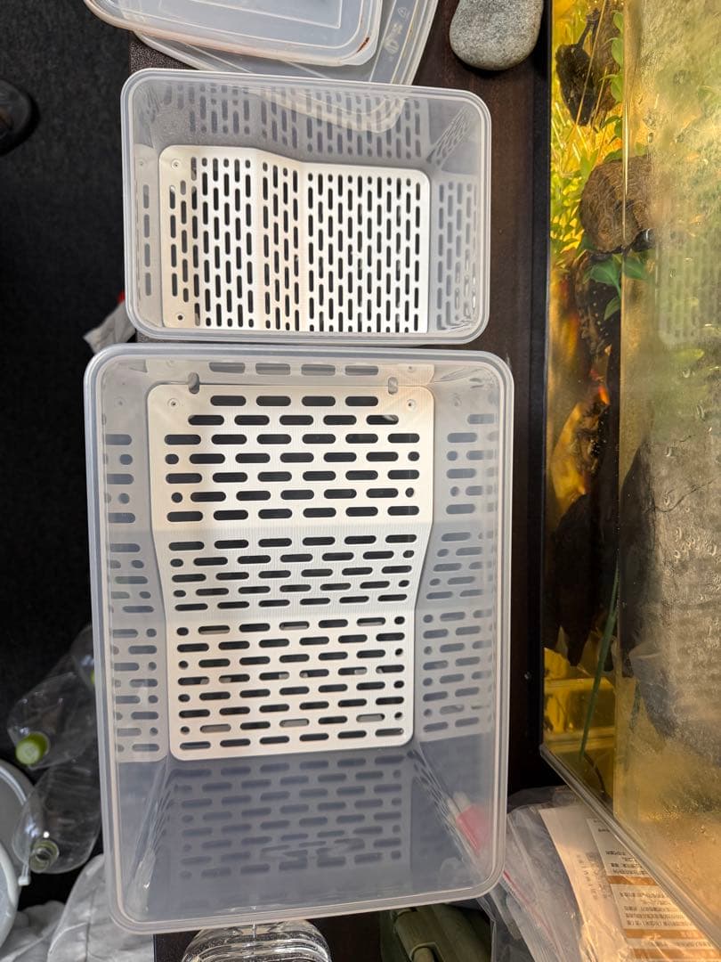 カメ専用飼育ケース　5個セット　中サイズ