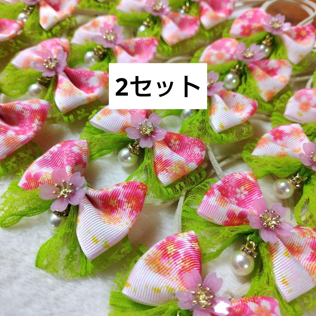 トリミングチョーカー46 Hitomi Iizuka様