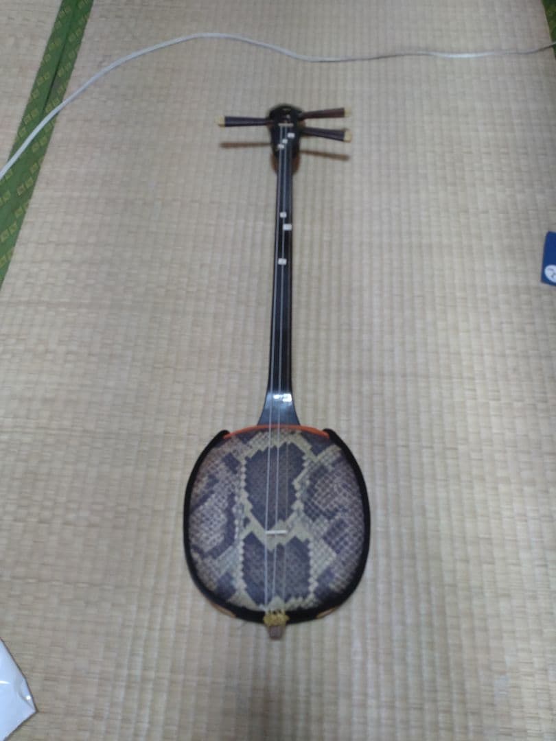 沖縄三味線本体 ヘビ皮製 3弦 蛇模様ハードケース付