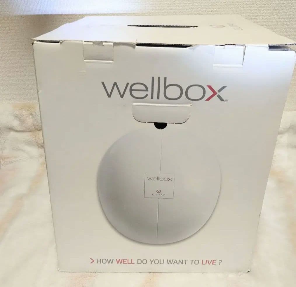 【美品】wellbox GUITAY 家庭用エンダモロジー おうちでエステ