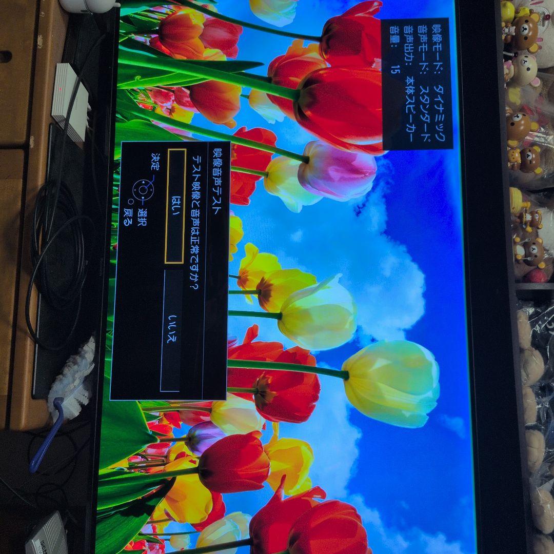 N*o様 【傷みあり】panasonicテレビ　55インチ　有機EL　TH-55
