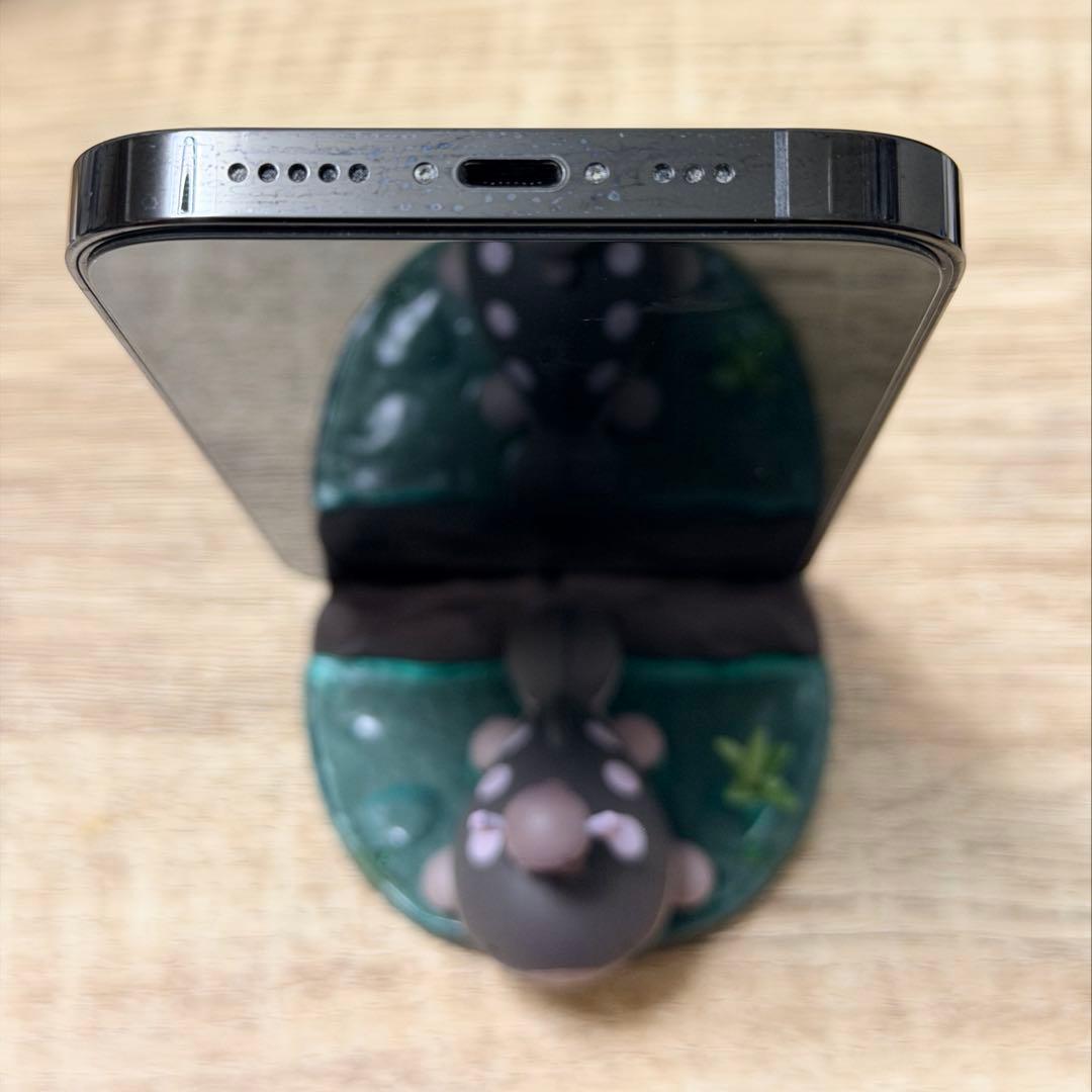 【美品】iPhone 14 Pro 日本版 256G