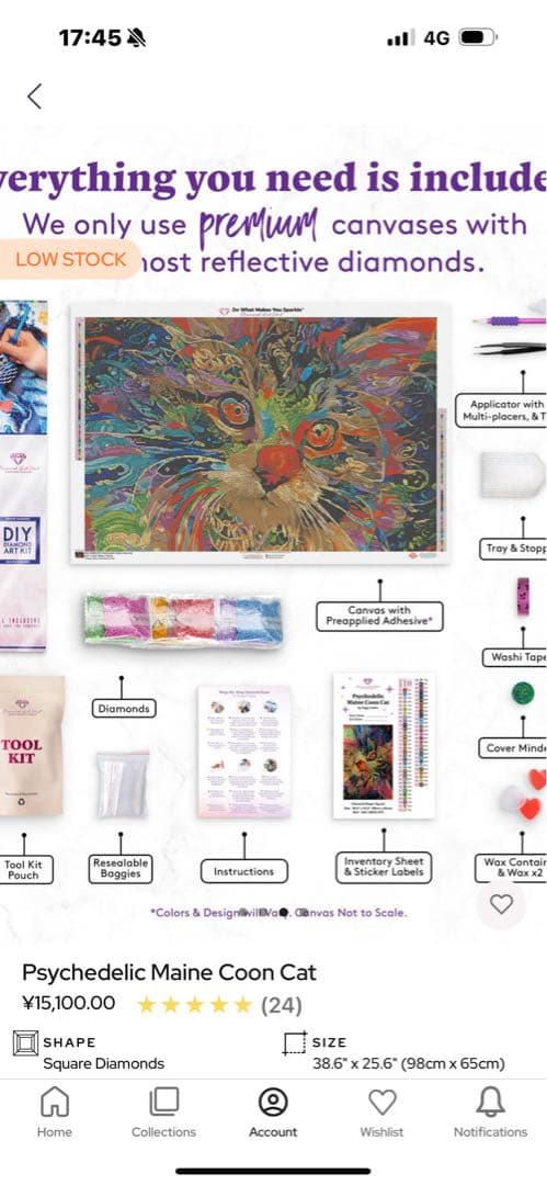 その他 Psychedelic Maine Coon Cat DAC