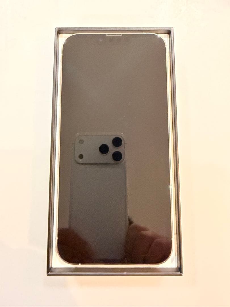 【美品】iPhone 13 pro max 256 シルバー