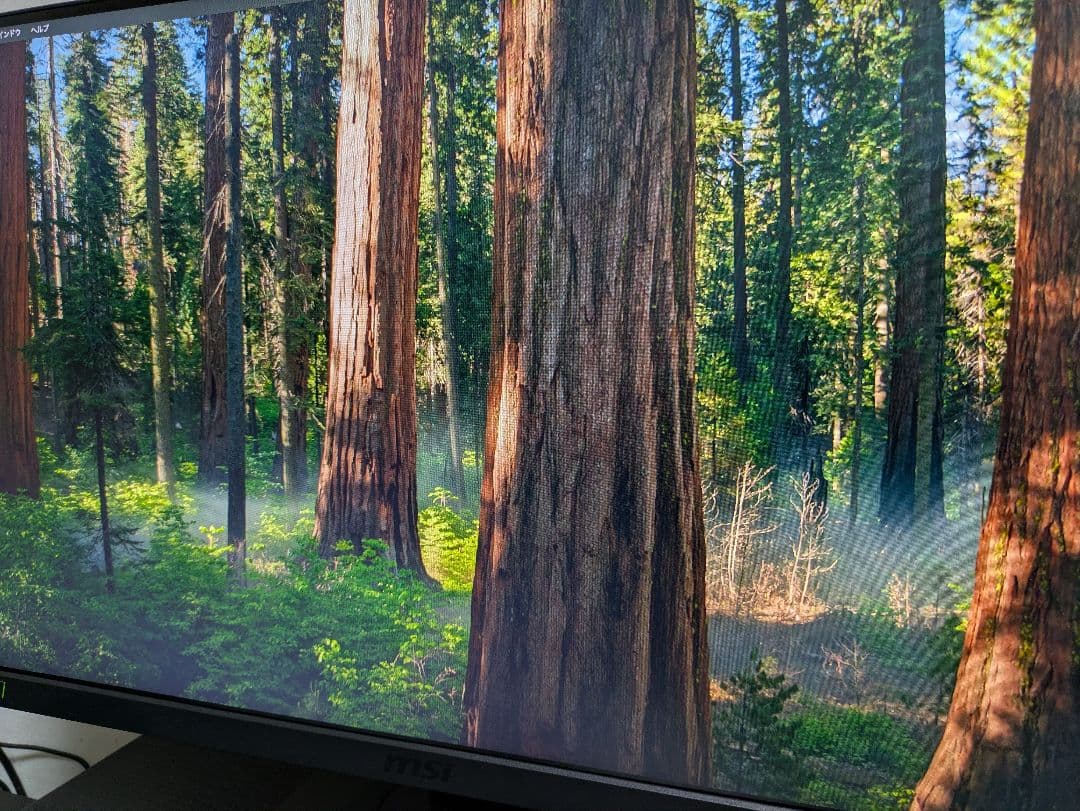 MSIゲーミングモニター Optix G251PF