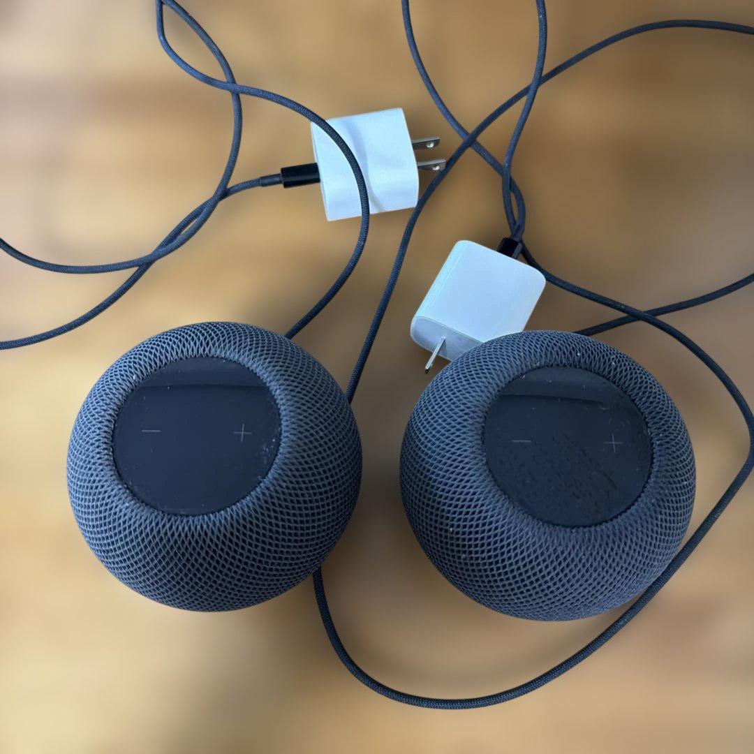  pod mini スペースグレイ２個