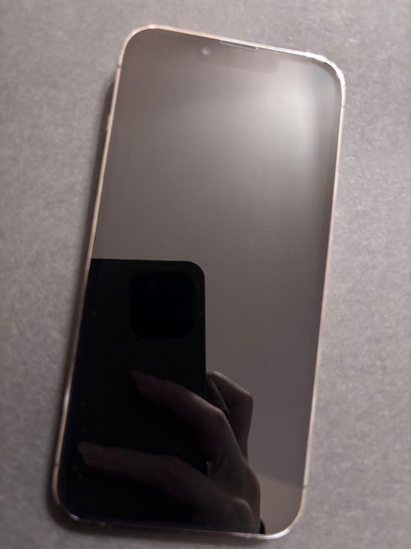 Apple iPhone 13pro 本体 グラファイト 動作問題なし