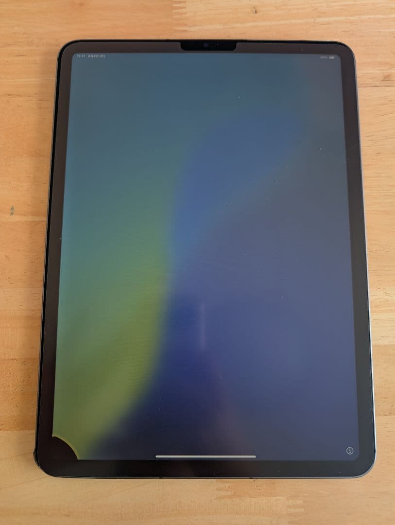 iPadPro11インチ 第3世代セルラー256G