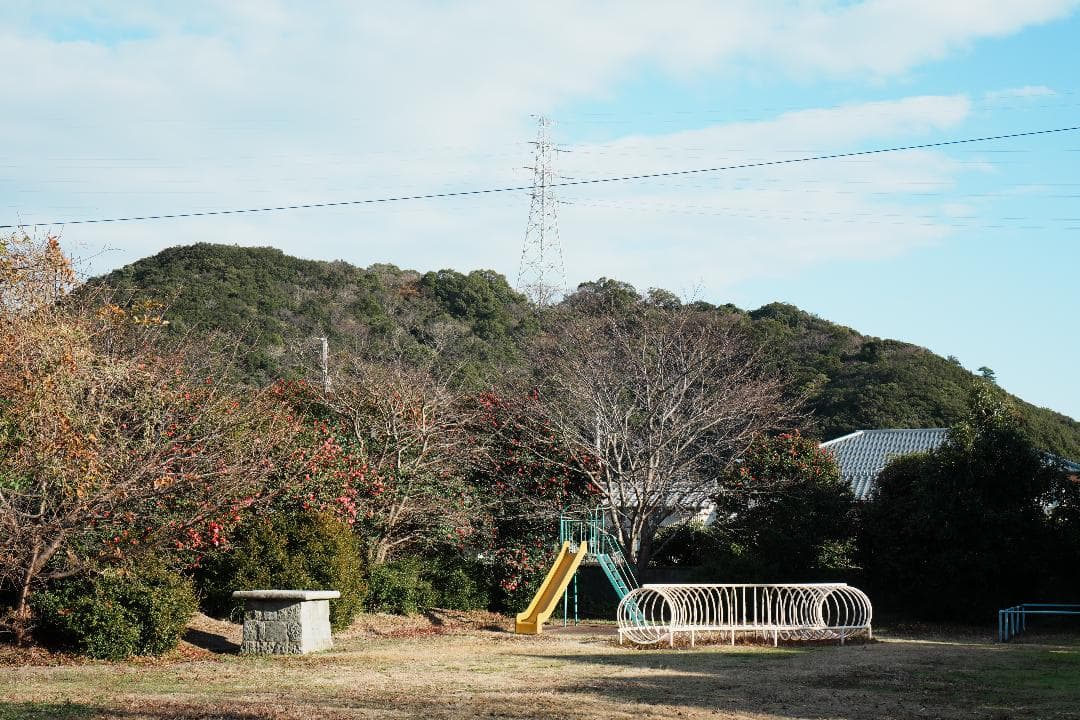 【美品】動作◎ SONY E 35mm F1.8 OSS 神レンズ 228