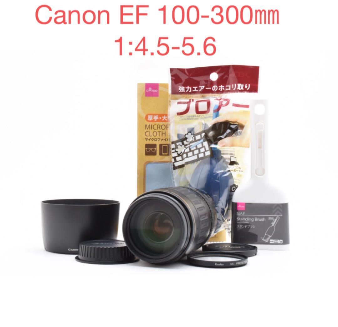 レンズ(ズーム) Canon EF 100-300mm F4.5-5.6 USM