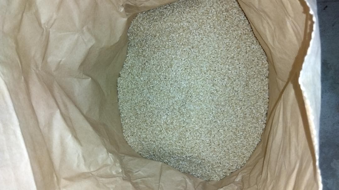 【令和７年産米】福島県産コシヒカリ 20kg　玄米