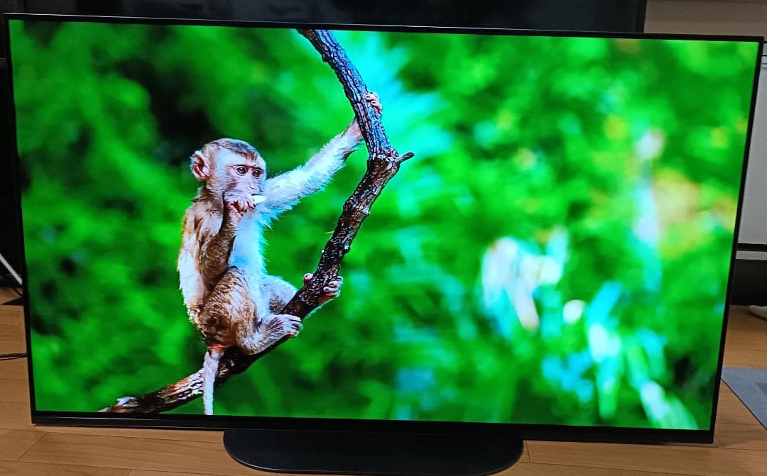 【Ｆニーナ】 20年製 SONYBRAVIA 48V型 KJ-48A9S