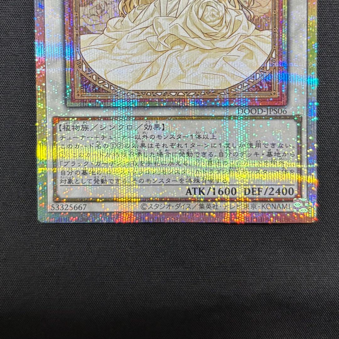 遊戯王　ガーデン・ローズ・メイデン　プリシク　イラスト違い