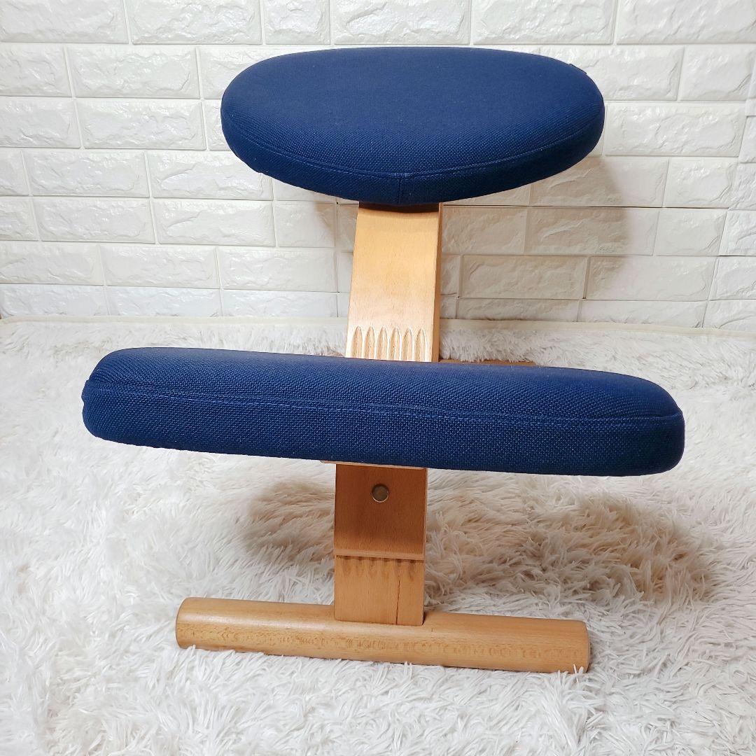 バランスイージー サカモトハウス バランスチェア 腰痛対策 学習椅子