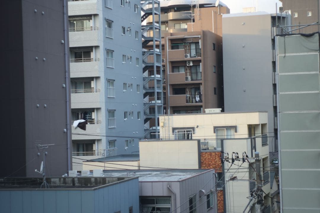 NIKKOR-H 1:2 5cm f2 作品例あり