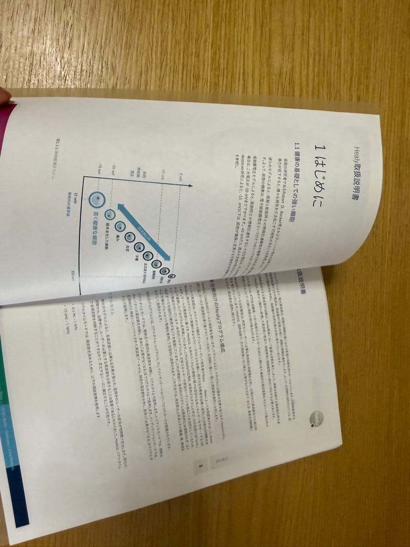 healy ヒーリー 波動調整器