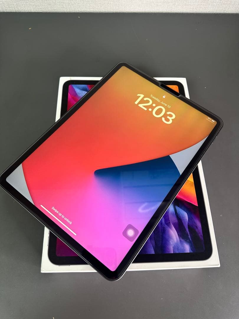 iPad Pro 256GB スペースグレイ第二世代+アップルペン　ケース付