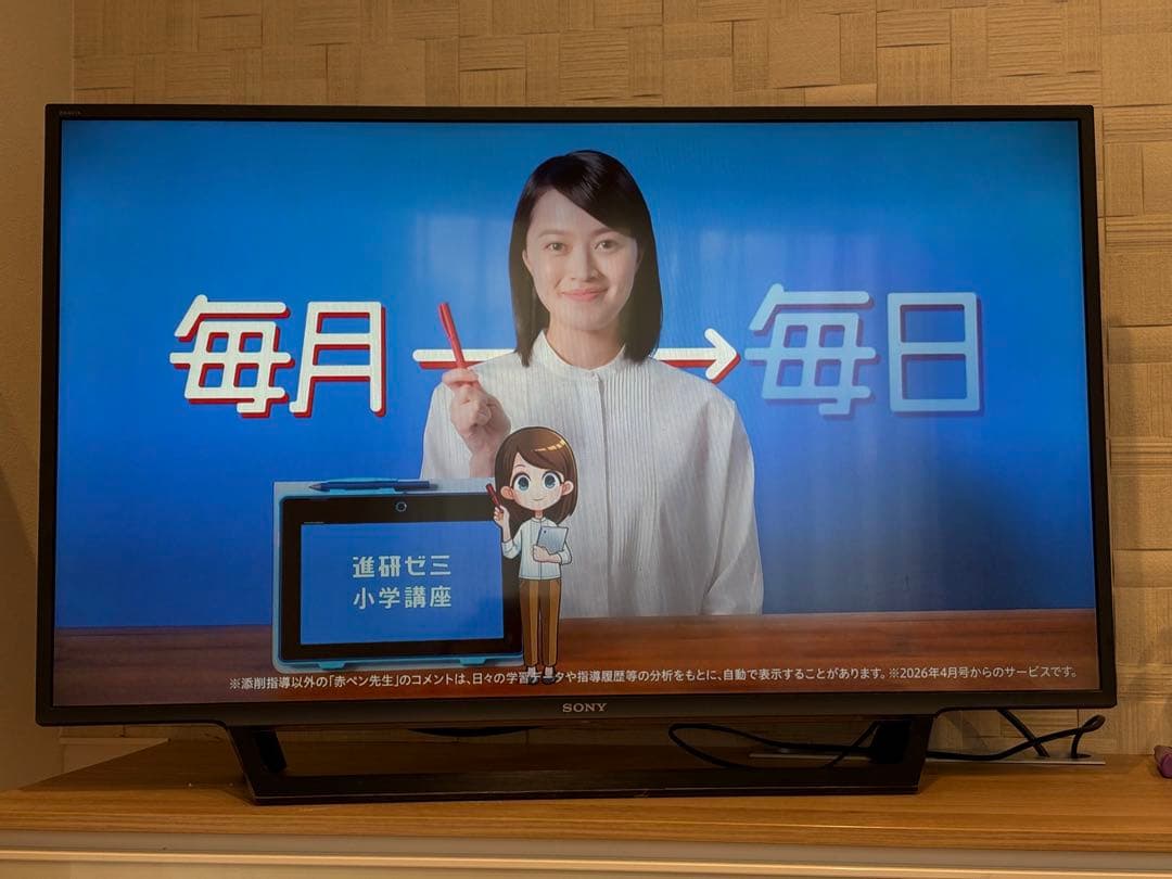 SONY 液晶テレビ 大画面