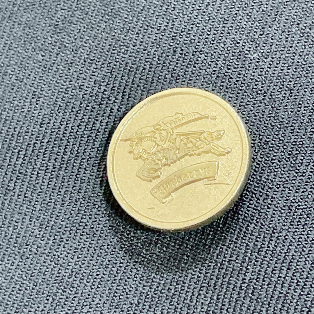 Burberrys 紺ブレ ダブル ネイビー 金ボタン シャドーホース AB7