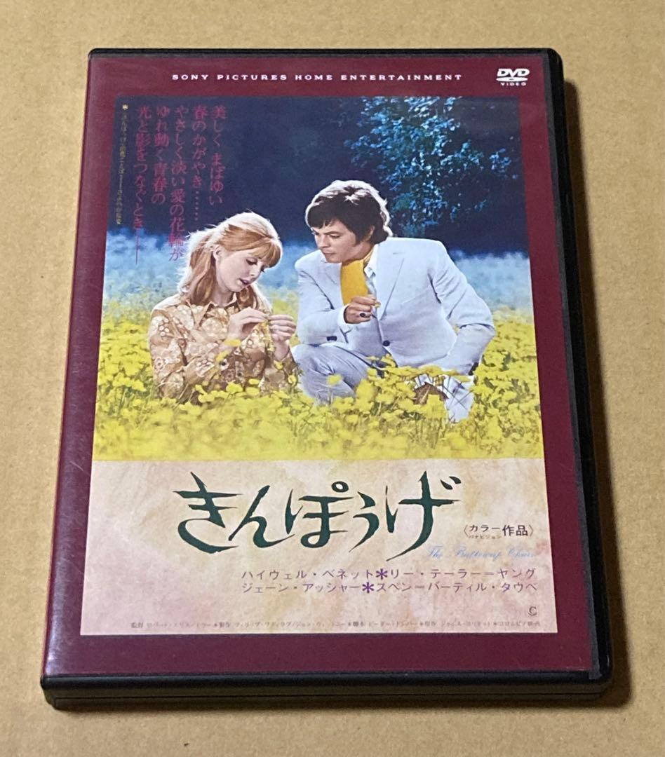 きんぽうげ 廃盤DVD 復刻シネマライブラリー