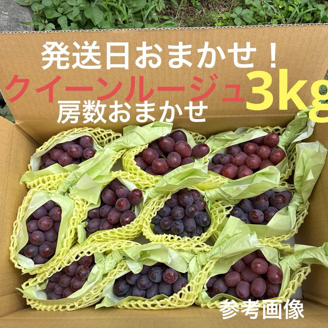 発送日おまかせ！クイーンルージュ3kg（房数おまかせ）お得ご家庭用